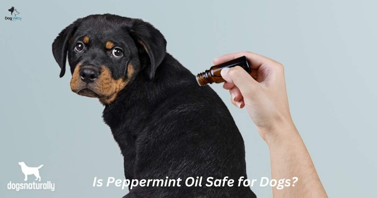 Is Peppermint Oil Safe for Dogs?