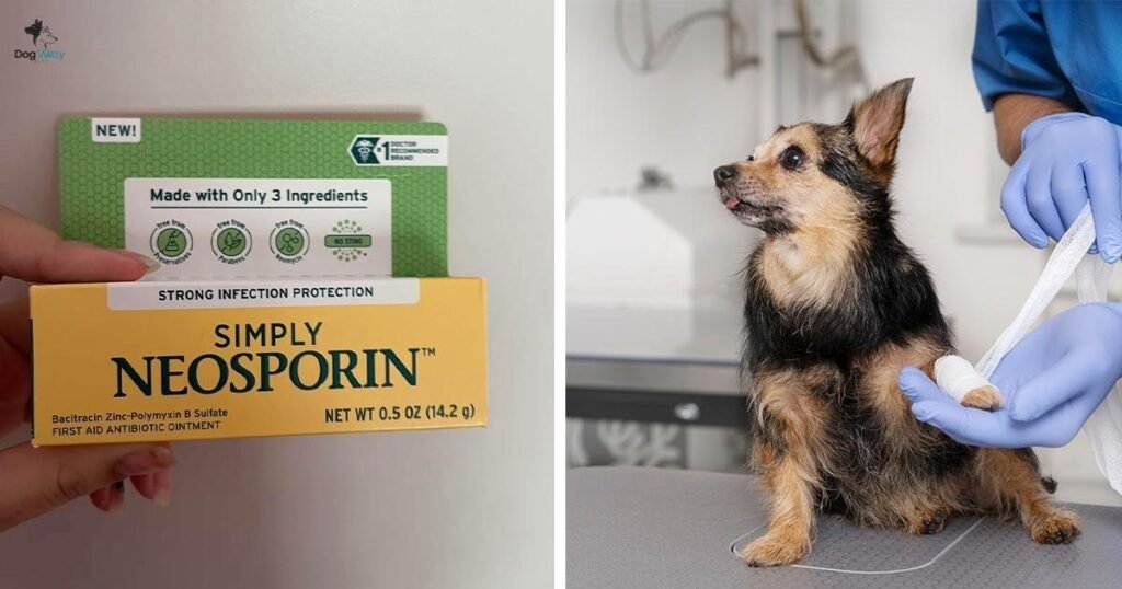 Potential Benefits of Using Neosporin on Dogs