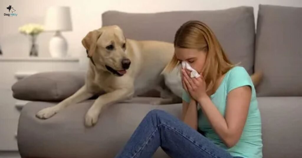 Tips for Allergy-Friendly Dog Ownership