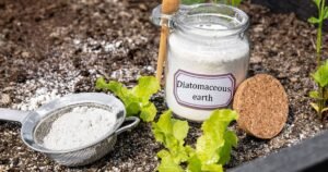 Diatomaceous Earth